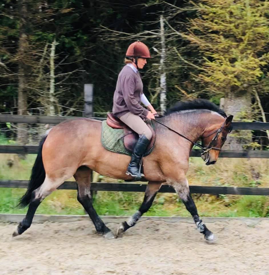 Meelickisland Bregeen