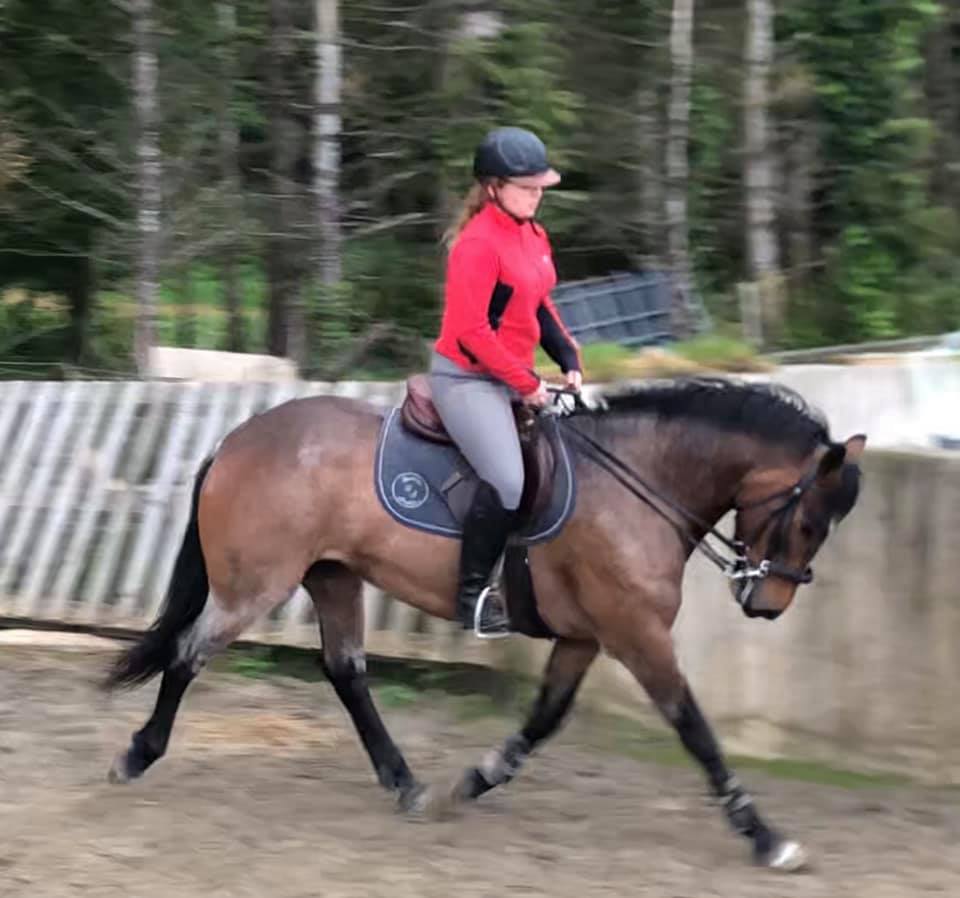 Meelickisland Bregeen