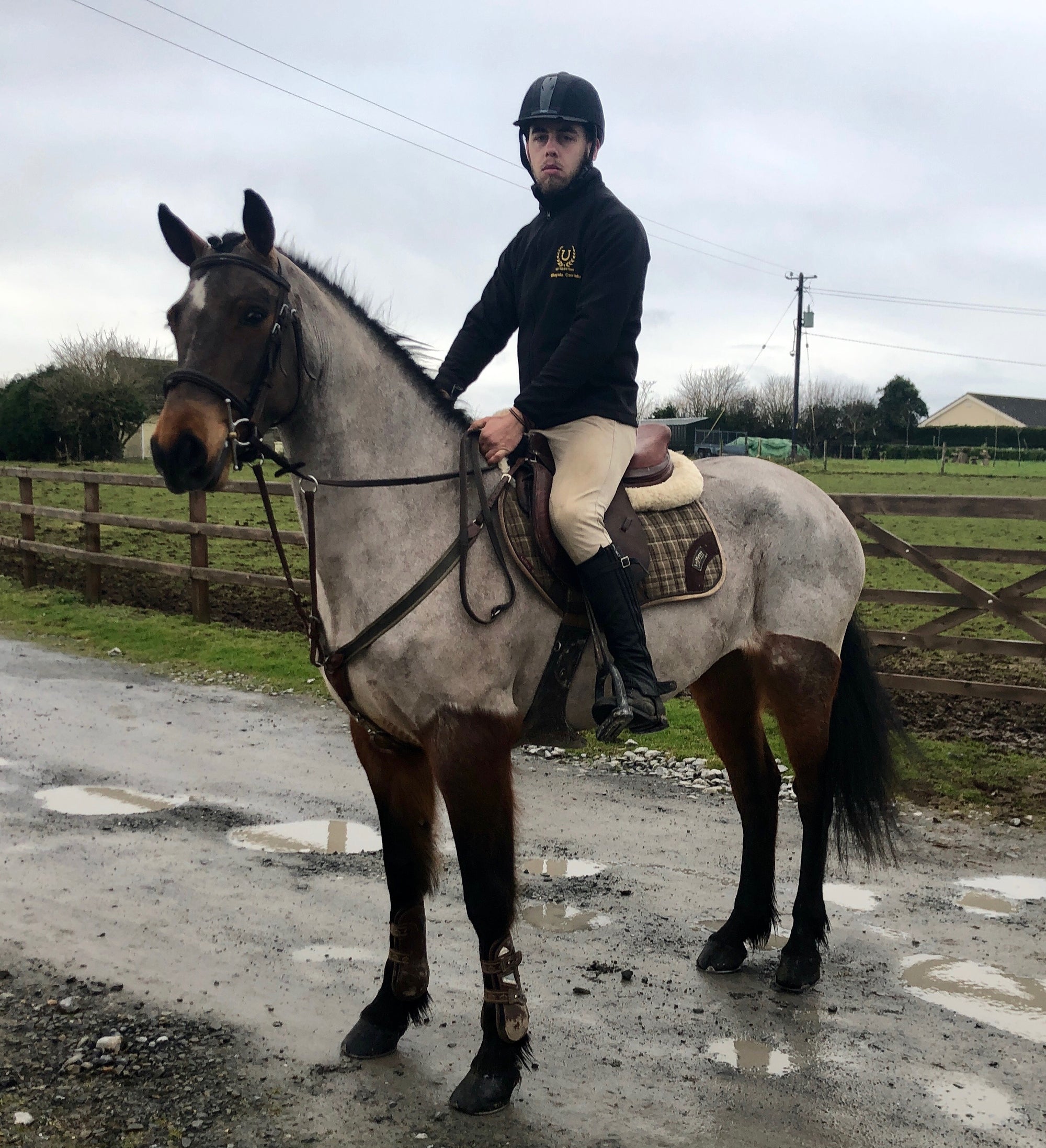 Meelickisland Bregeen