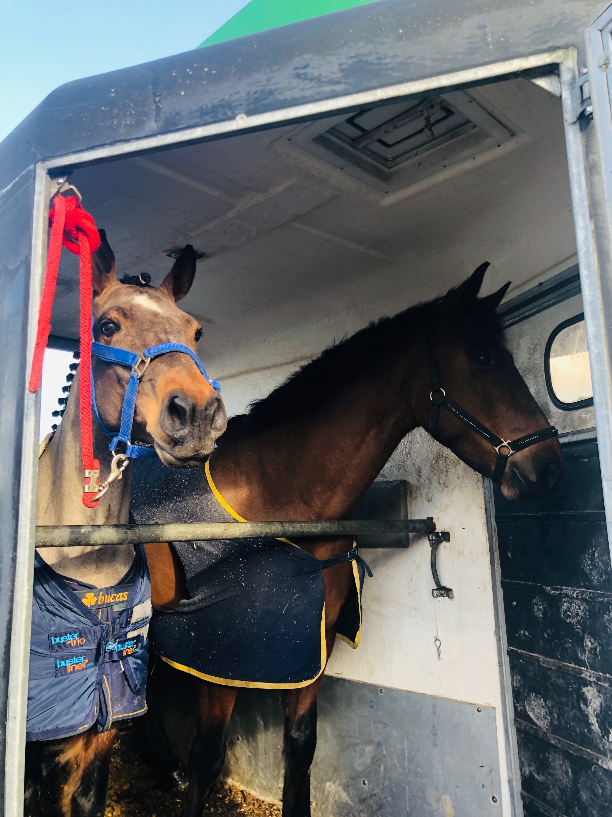 Meelickisland Bregeen