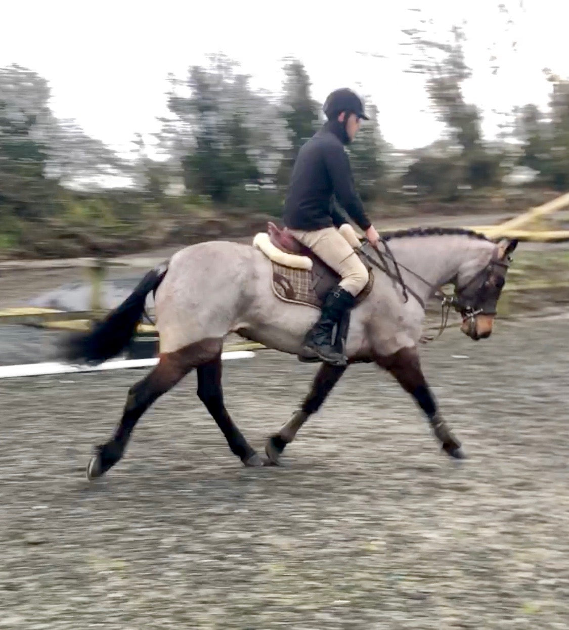 Meelickisland Bregeen